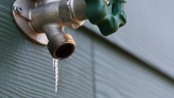 Best Leak Detection Services  in North Crossett, AR